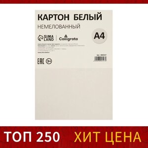 Картон белый А4, 6 листов, 190 г/м2 Calligrata, немелованный на скобе, ЭКОНОМ