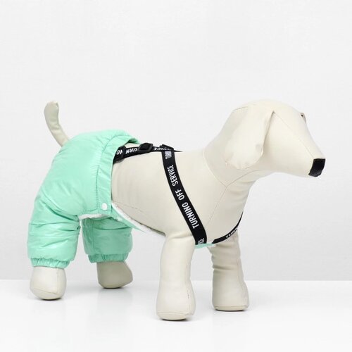 Комбинезон-штаны для собак, размер M (ДС 36, ОТ 40 см), мятный