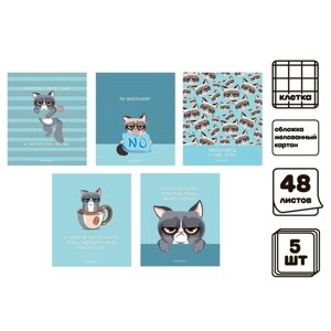 Комплект тетрадей из 5 штук, 48 листов в клетку Calligrata "Котик Мем", обложка мелованный картон, глянцевая ламинация, выборочный ТВИН-лак, блок офсет