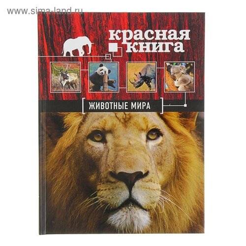 Красная книга «Животные мира»Скалдина О. В., Слиж Е. А.