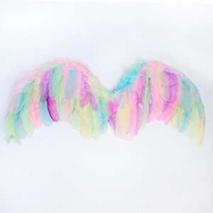Крылья ангела 7755 см