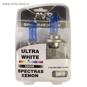 Лампа автомобильная AVS SPECTRAS Xenon 5000K, H4, 12 В, 65/75 Вт,T10, набор 2 шт