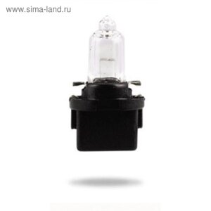 Лампа автомобильная Narva Black, BAX, 12В, 5 Вт,B10d), 17163