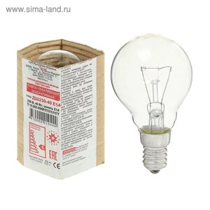 Лампа накаливания "Лисма", ДШ, E14, 40 Вт, 230 В