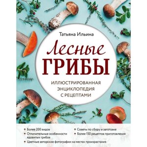 Лесные грибы. Иллюстрированная энциклопедия с рецептами. Ильина Т. А.