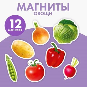 Магнитная игра «Овощи»