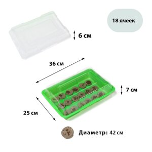 Мини-парник для рассады: торфяная таблетка d = 4,2 см (18 шт. парник 36 25 см, зелёный