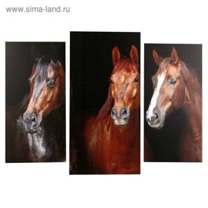 Модульная картина "Три лошадки"2-25х50, 30х60см) 60х80 см