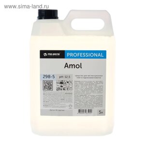 Моющее средство Amol, 5л