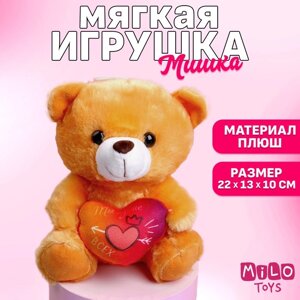 Мягкая игрушка «Ты лучше всех, медведь, цвета МИКС