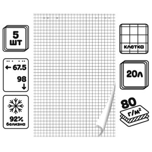 Набор блокнотов 5 штук для флипчарта, 67,5 х 98 см, 20 листов в клетку, 92%80 г/м2, Calligrata