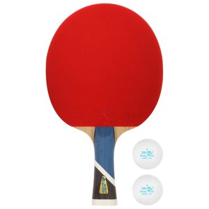 Набор для настольного тенниса Double Fish 5A-C: 1 ракетка, 2 мяча