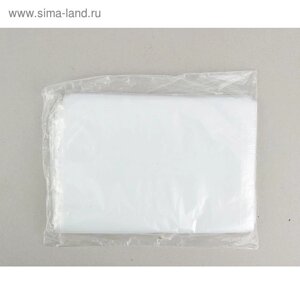 Набор пакетов полиэтиленовых фасовочных 30 х 40 см, 40 мкм, 100 шт.