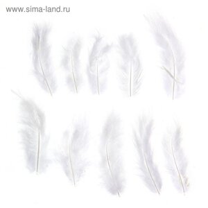 Набор перьев для декора 10 шт., размер 1 шт: 10 2 см, цвет белый
