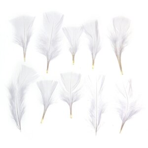 Набор перьев для декора 10 шт., размер 1 шт: 10 4 см, цвет белый