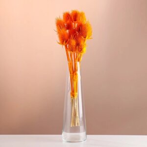 Набор сухоцветов "Ворсянка", банч 7-8 шт, длина 40 (6 см), ярко-оранжевый