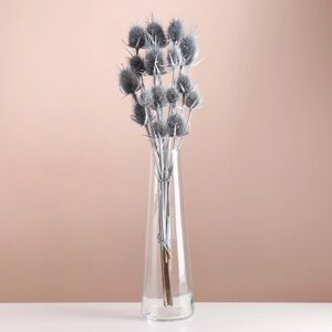 Набор сухоцветов "Ворсянка", банч 7-8 шт, длина 50 (6 см), серебро