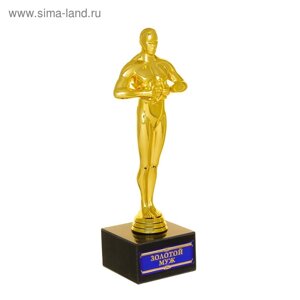 Наградная фигура мужская «Золотой муж», оскар, 18 х 6,2 см, пластик