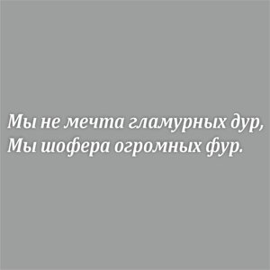 Наклейка на авто "Мы шофера огромных фур! плоттер, белый, 600 х 100 мм