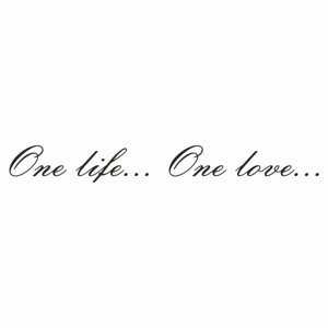 Наклейка "One lifeOne love", черная, плоттер, 400 х 55 х 1 мм