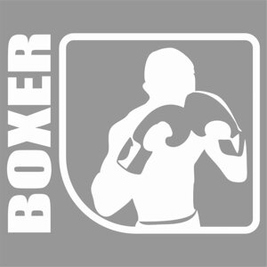 Наклейка "Спорт", бокс, белая, плоттер, 100 х 80 мм