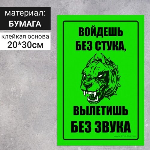 Наклейка «Войдёшь-вылетишь» 300200, собака, цвет чёрно-зелёный