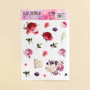 Наклейки бумажные «Цветы», 11 16 см