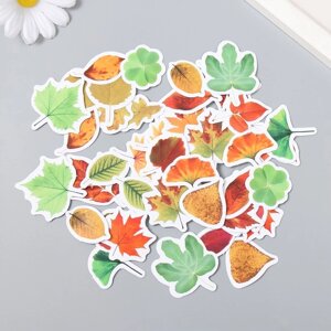 Наклейки для творчества "Осенние листья" набор 46 шт 6,4х4,4х1,1 см