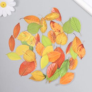 Наклейки для творчества пластик "Осенние листья" набор 40 шт 0,3х8х14,8 см