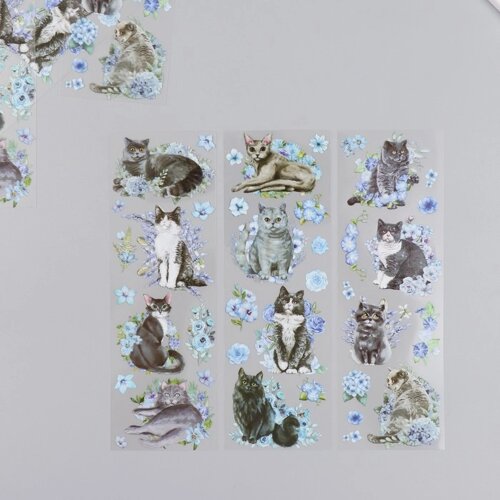 Наклейки для творчества "Серые котики и голубые цветы" набор 6 листов 18х6 см