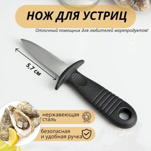 Нож для устриц Доляна, 144,4 см, длина лезвия 5,7см, цвет чёрный
