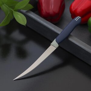 Нож кухонный для цитрусовых Доляна «Страйп», зубчатое лезвие 11,5 см, цвет синий