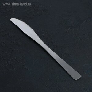 Нож столовый из нержавеющей стали Доляна Gleen, длина 22 см, толщина 2 мм, цвет серебряный