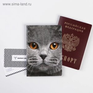 Обложка для паспорта "Кот"1 шт)