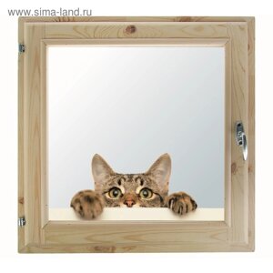 Окно 60х70 см, "Кошак", однокамерный стеклопакет, уплотнитель, хвоя