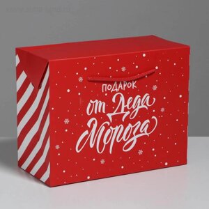 Пакет-коробка «Подарок», 23 18 11 см