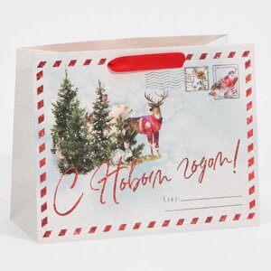 Пакет ламинированный горизонтальный «Новогодняя открытка», MS 18 23 10 см