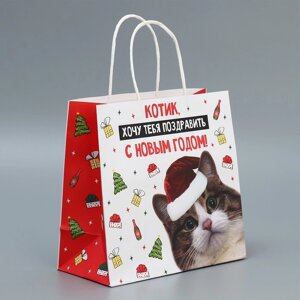 Пакет подарочный крафтовый «Котик», 22 22 11 см