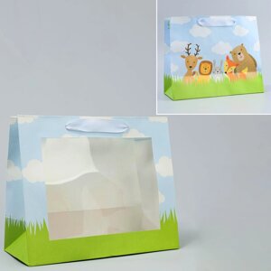 Пакет подарочный крафтовый с пластиковым окном, упаковка, «Friends», 24 х 20 х 11 см