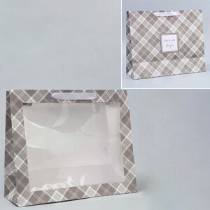 Пакет подарочный крафтовый с пластиковым окном, упаковка, «Мужской», 31 х 26 х 10 см