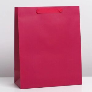 Пакет подарочный ламинированный, упаковка, «Фуксия», ML 23 х 27 х 11.5 см