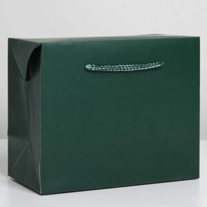 Пакет—коробка «Изумрудный», 23 18 11 см