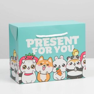 Пакет—коробка, подарочная упаковка, «Present», 23 х 18 х 11 см