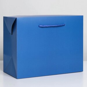 Пакет—коробка «Синий», 28 20 13 см