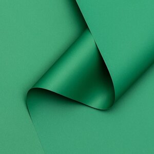 Пленка матовая, базовые цвета, зелёная, 0,5 х 10 м, 65 мкм