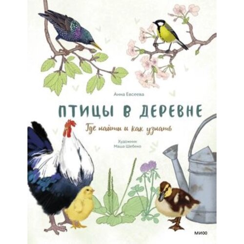 Птицы в деревне. Где найти и как узнать. Евсеева А.