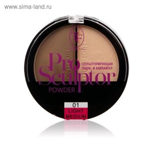 Пудра для лица TF Pro Sculptor Powder, тон 01 light medium