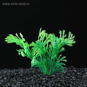 Растение искусственное аквариумное, до 9 см