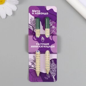 Растущие подарочные карандаши mini "Мята и Лавада" набор 2 шт