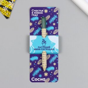 Растущие подарочные карандаши mini "Сосна"